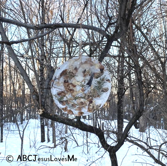 Forest Ice Creation